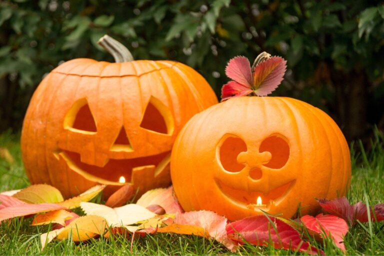 Kürbis schnitzen leicht gemacht – Kreative Ideen, Anleitung & Tipps für Anfänger kürbis schnitzen